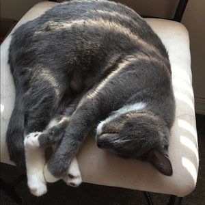 Meet your Posher, Rita